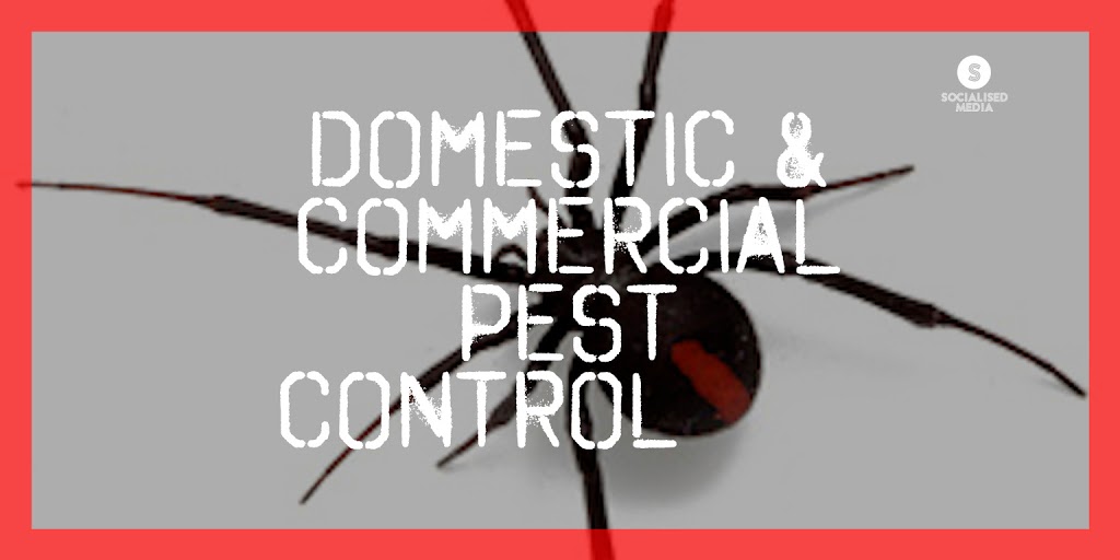 Power Pest Control | home goods store | 1A Pioneer Rd, Umina Beach NSW 2257, Australia | 0419768050 OR +61 419 768 050