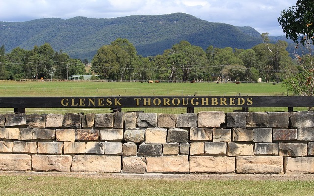 Glenesk Thoroughbreds | 117 Mount Vincent Rd, Mount Vincent NSW 2323, Australia | Phone: (02) 4938 0011