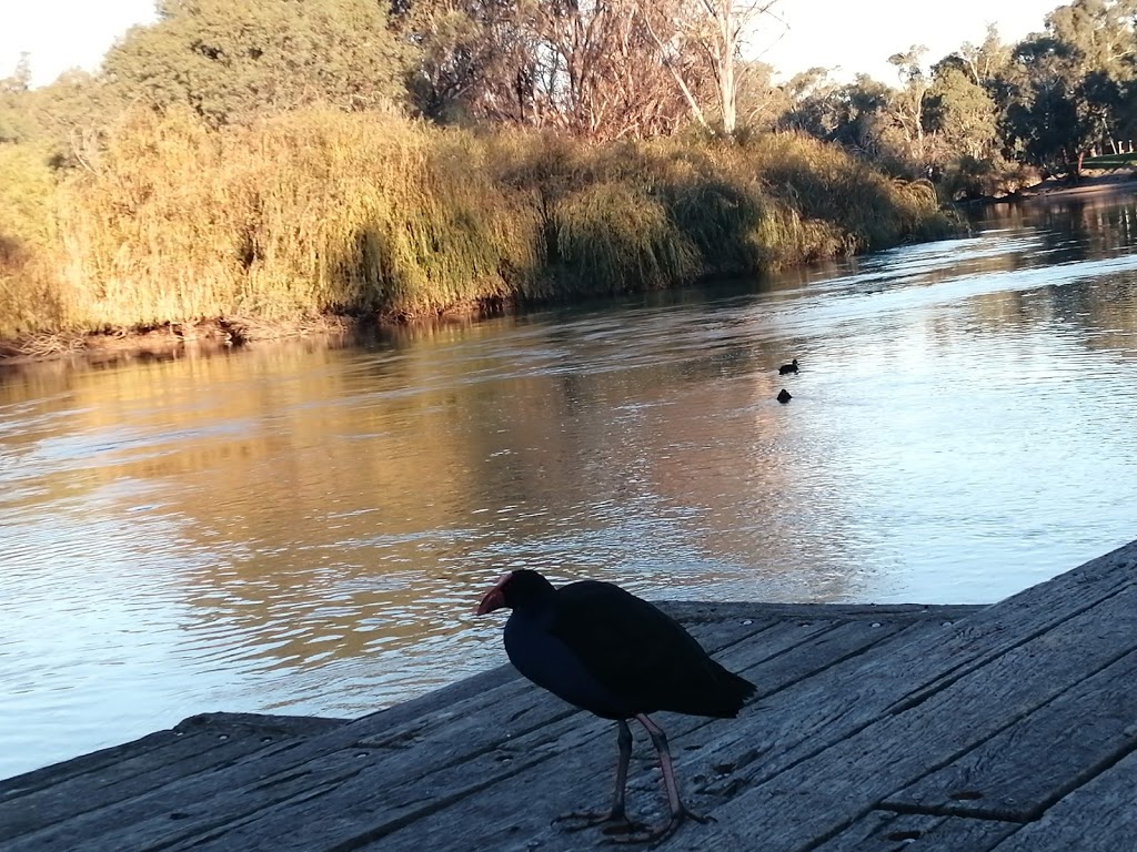 Riverside Park | park | Swan Hill VIC 3585, Australia