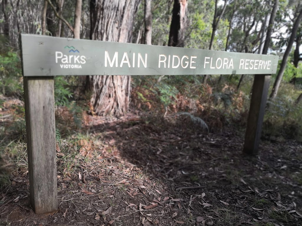 Main Ridge Nature Conservation Reserve | park | 71/79 Barkers Rd, Flinders VIC 3929, Australia | 131963 OR +61 131963
