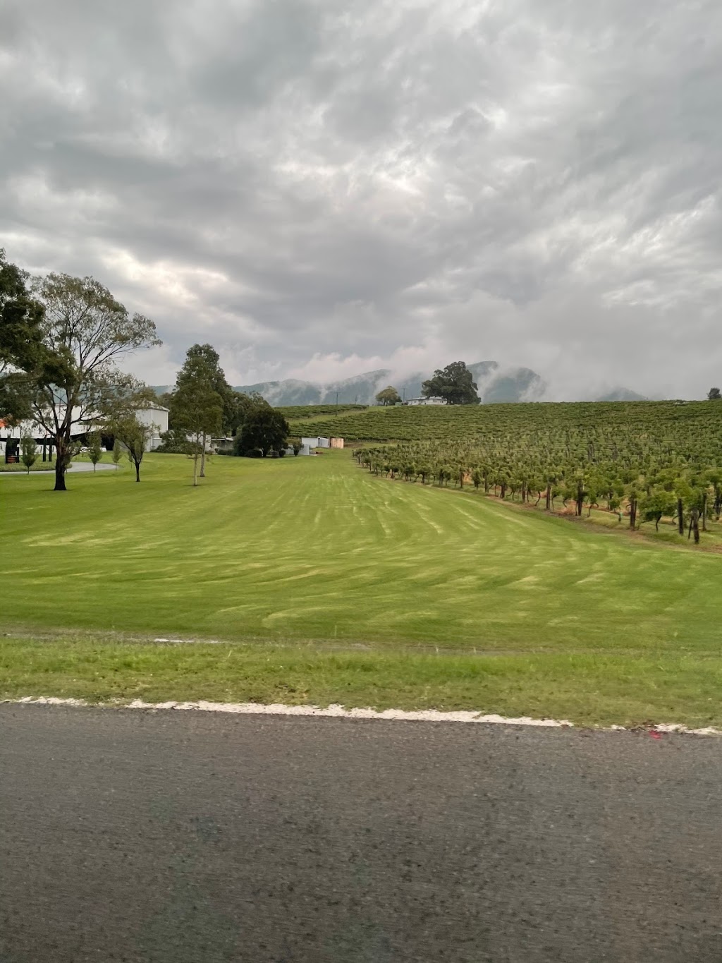 Wine D Road Tours | food | 1094 Maitland Vale Rd, Rosebrook NSW 2320, Australia | 0437543078 OR +61 437 543 078