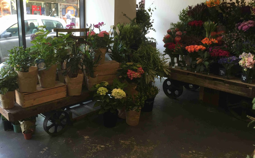 Elwood Flowers | 99 Ormond Rd, Elwood VIC 3184, Australia | Phone: (03) 9531 3639