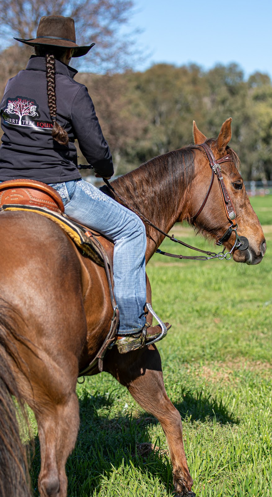 Cherry Tree Equine | 397 Greenhills Rd, Jerangle NSW 2630, Australia | Phone: 0413 609 880