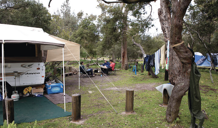 Saltwater Creek campground | Light to Light Walk, Green Cape NSW 2551, Australia | Phone: 1300 072 757