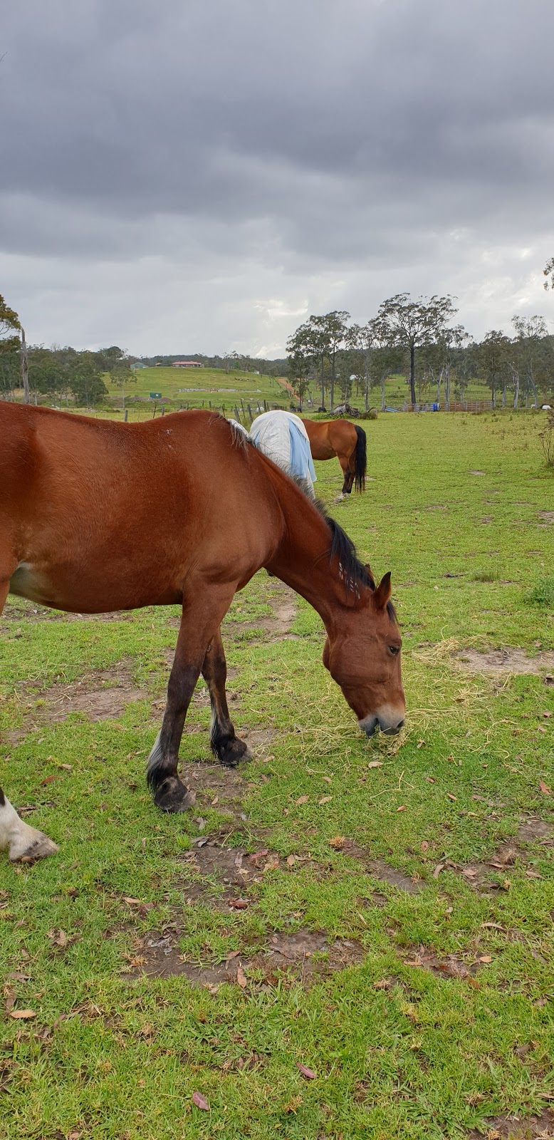 Emerald Park Equine |  | Mandalong NSW 2264, Australia | 0418602024 OR +61 418 602 024