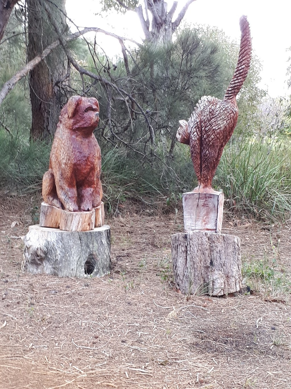 Wood Skulptures | museum | 333 Mercer Rd, Walmsley WA 6330, Australia