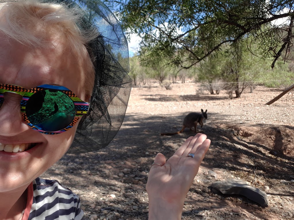 Teamsters Campground | Brachina Gorge Rd, Flinders Ranges SA 5434, Australia