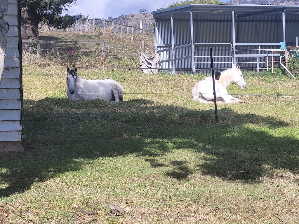 Sabrina Stephens Equine Assisted Therapy | 3434 Kerry Rd, Darlington QLD 4285, Australia | Phone: 0413 760 263