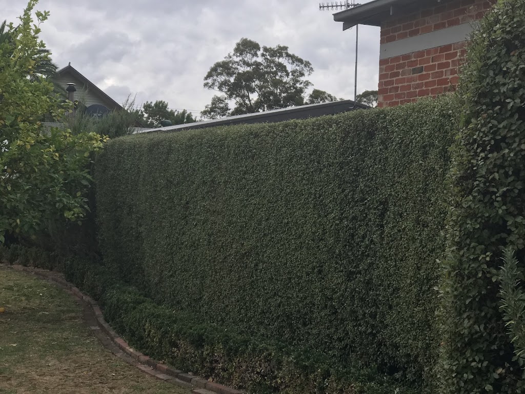 Jeff Percy Lawn Care | 593 Corangamite Lake Rd, Cororooke VIC 3254, Australia | Phone: 0400 196 278