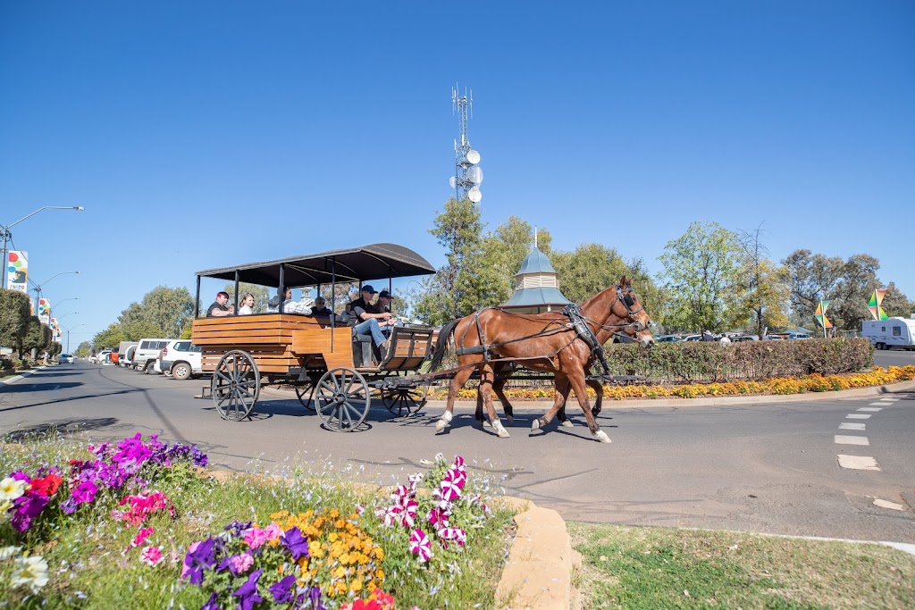 Hoofbeats Carriage Rides | Mudgee NSW 2850, Australia | Phone: 0400 029 758