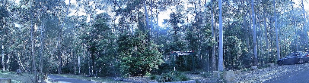 Cumberland State Forest | park | 95 Castle Hill Rd, West Pennant Hills NSW 2125, Australia | 1300655687 OR +61 1300 655 687