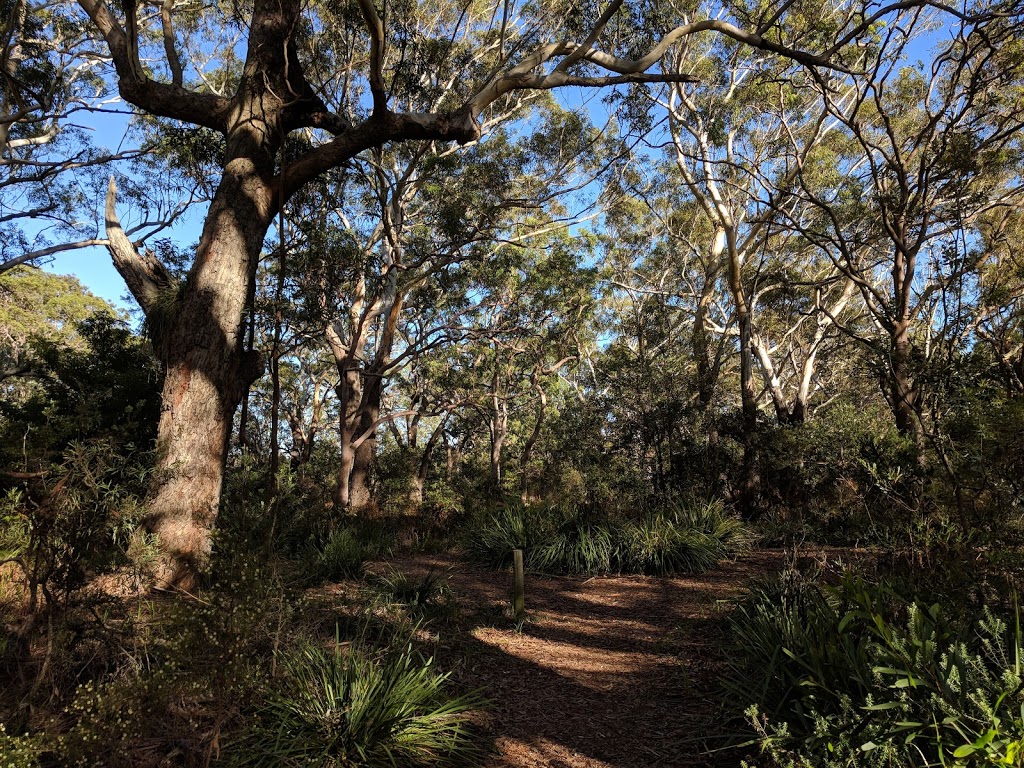 Anzac Park | park | 2A Shoal Bay Rd, Shoal Bay NSW 2315, Australia