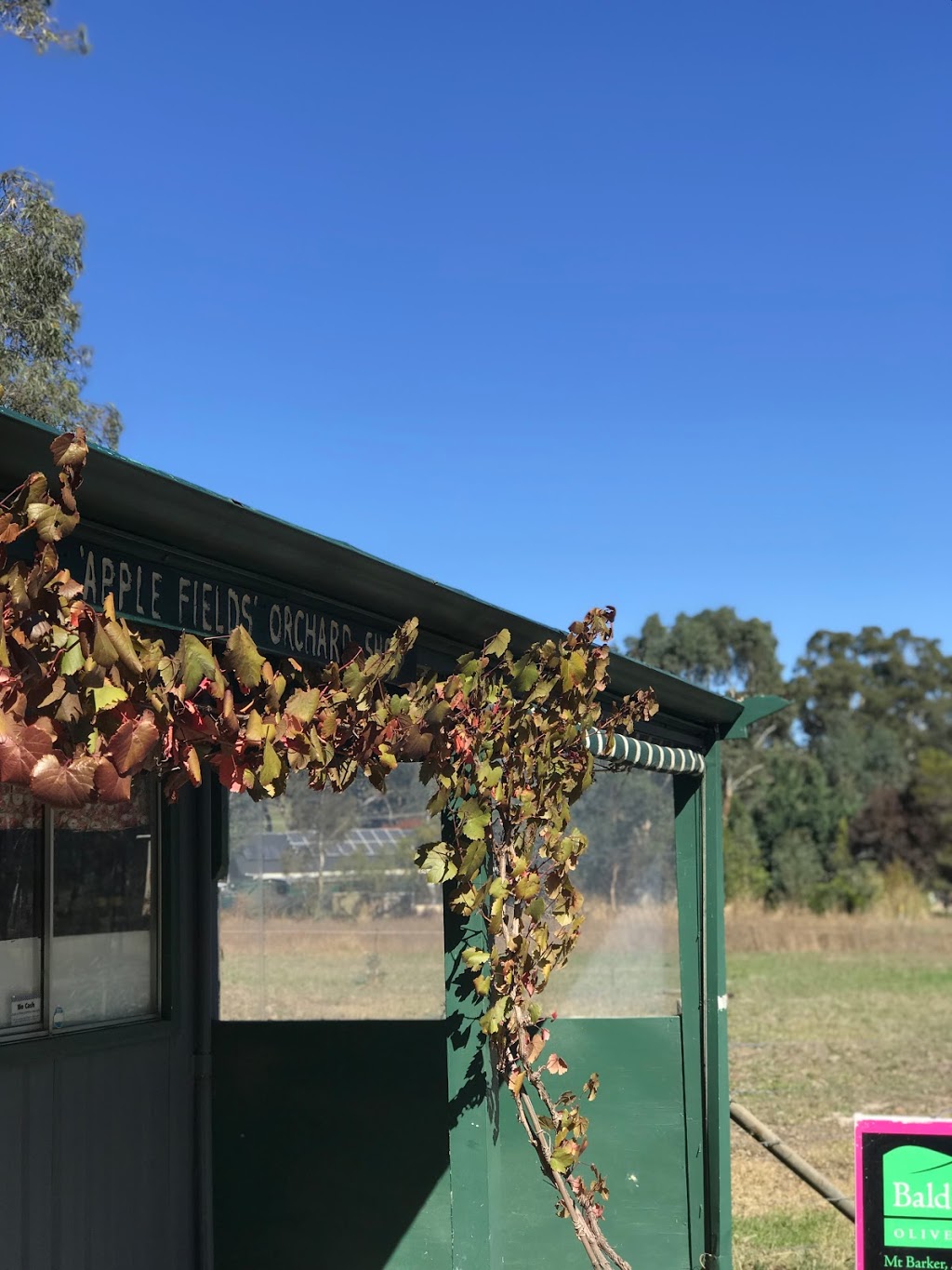 Applefields Orchard Shop | 324 Onkaparinga Valley Rd, Balhannah SA 5242, Australia