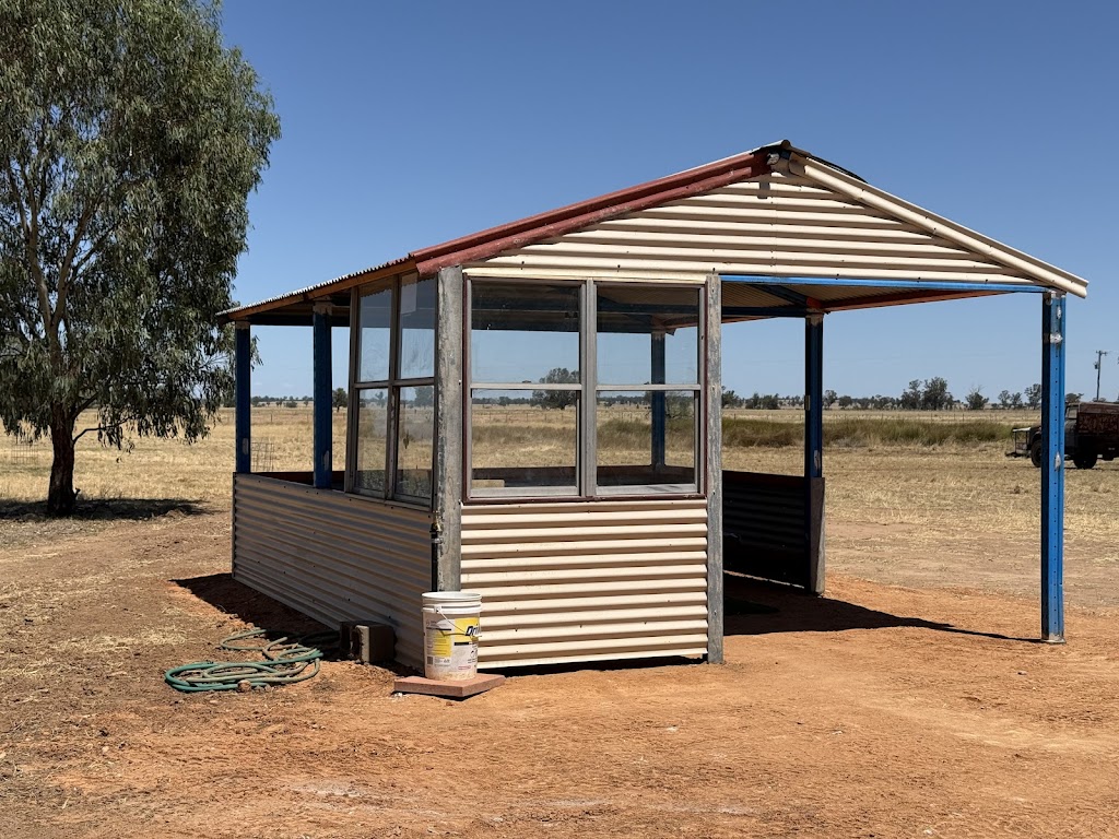 Yarralla on the Marthaguy Campground | 6117 Newell Hwy, Gilgandra NSW 2827, Australia | Phone: 0418 430 304
