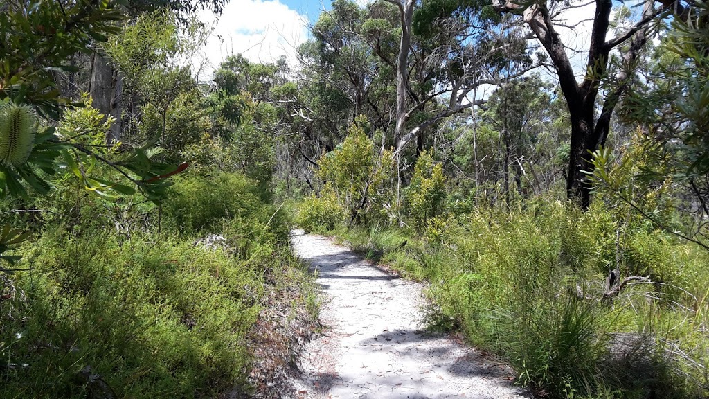 Blue Lake National Park | North Stradbroke Island QLD 4183, Australia | Phone: 13 74 68