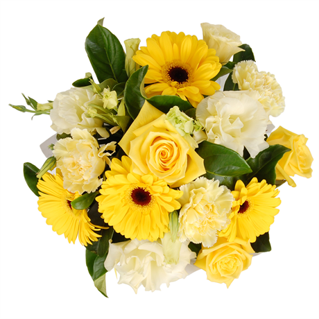 Tuggerah Beautiful Flowers | 360 Pacific Hwy, Kangy Angy NSW 2258, Australia | Phone: (02) 4353 0831