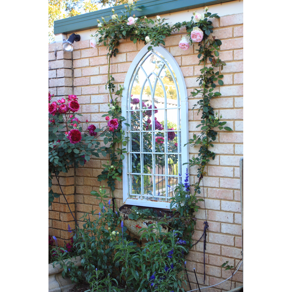 Melvilles Rose n Garden | 105 Tanner Rd, Carmel WA 6076, Australia | Phone: 0419 964 819