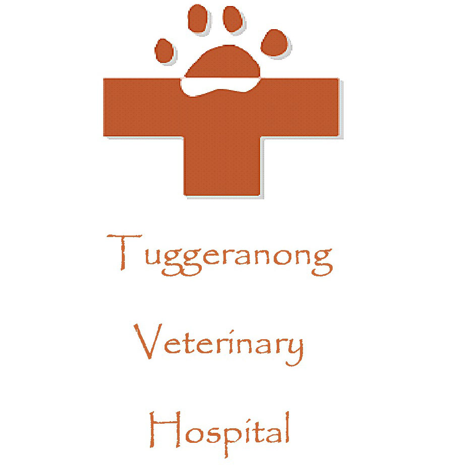 Tuggeranong Veterinary Hospital | pharmacy | 5/2 Hanlon Cres, Fadden ACT 2904, Australia | 0262917711 OR +61 2 6291 7711