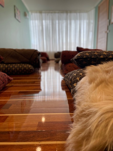 Akaasha Holistic Wellness | 7 Yarram St, Yarram VIC 3971, Australia | Phone: (03) 4102 8083