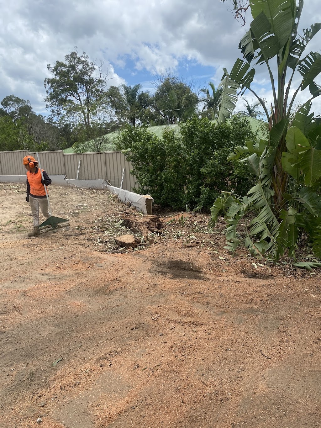 Logan City Tree Experts | 27 Holles St, Waterford West QLD 4133, Australia | Phone: 0431 804 308