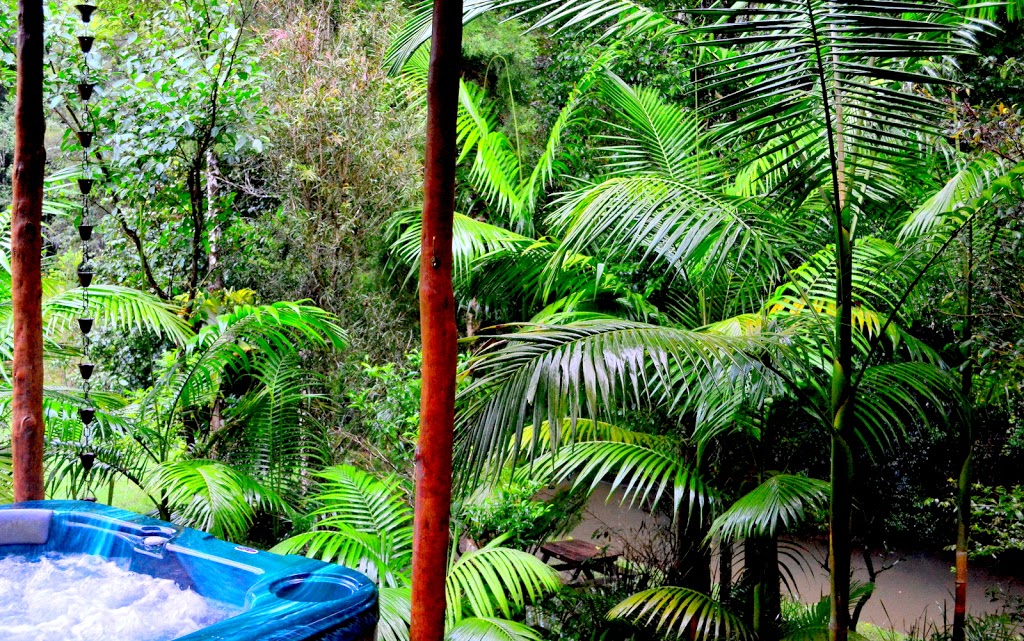 Waterfall Hideout-Rainforest Cabin for Couples | 368 Zara Rd, Chillingham NSW 2484, Australia | Phone: 0490 372 452
