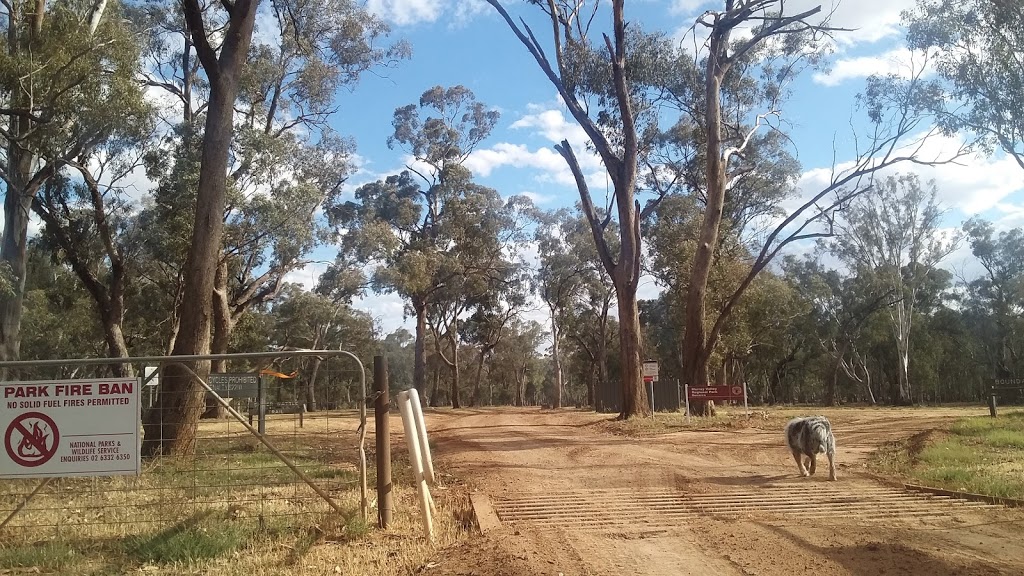 Benarca campground | campground | Benarca Forest Rd, Moama NSW 2711, Australia | 0354839100 OR +61 3 5483 9100