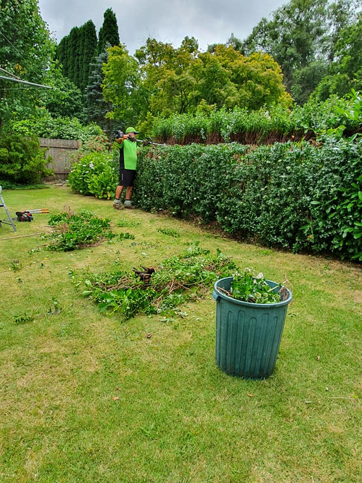 MDA Services Lawns & Garden Care | general contractor | Covering Camden, Oran Park, Mt Annan, Spring Farm, Gregory Hills, Narellan Campbelltown, Liverpool, Picton, Southern Highlands, Bowral, Mittagong Wollondilly, Tahmoor, Thirlmere, Razorback, Wingecarribee, 6, Moore Rd, Oakdale NSW 2570, Australia | 0428419997 OR +61 428 419 997