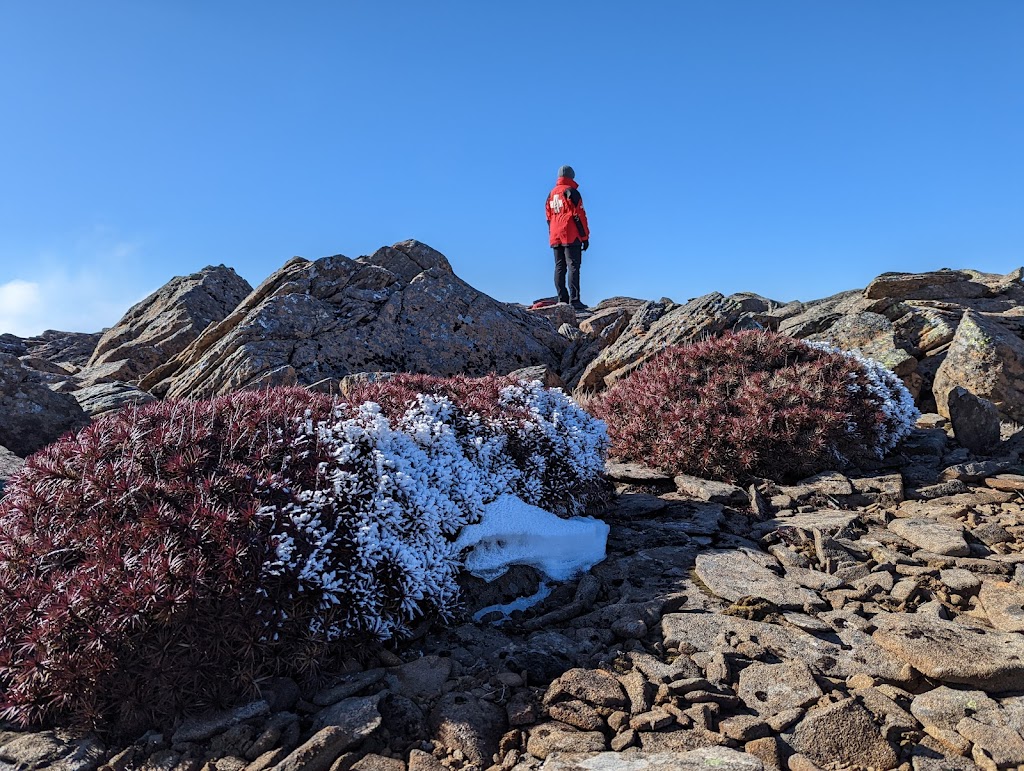 Ben Lomond Ski Patrol | health | Ben Lomond Rd, Upper Blessington TAS 7212, Australia | 0409634849 OR +61 409 634 849