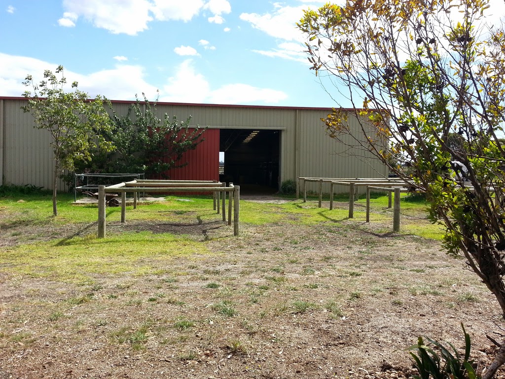 Geelong Equestrian Centre | travel agency | 195 Clifton Ave, Leopold VIC 3224, Australia | 0406417049 OR +61 406 417 049