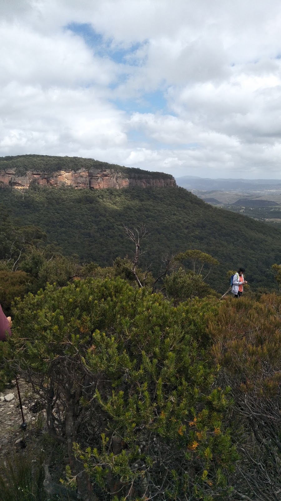 Upper Shipley Crag | gym | Walls Ledge Track, Blackheath NSW 2785, Australia