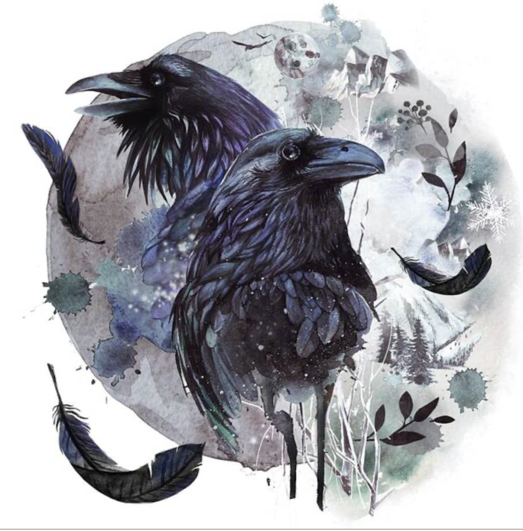 The Velvet Raven Gallery | 110 Whiteley St, Wellington NSW 2820, Australia | Phone: 0457 119 844