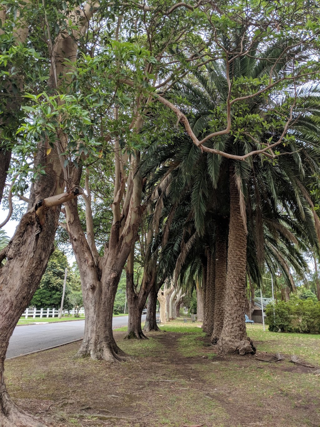 Berry Memorial Park | park | Berry NSW 2535, Australia