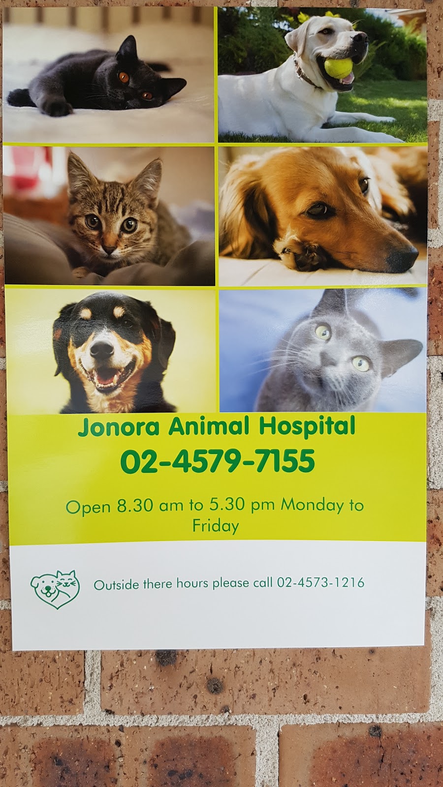 Jonora Animal Hospital | 6/24 Riverview St, North Richmond NSW 2754, Australia | Phone: (02) 4579 7155