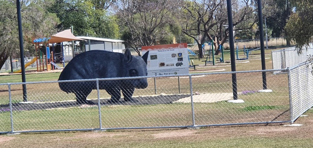 William the Wombat | tourist attraction | Pine St, Thallon QLD 4497, Australia | 0746208877 OR +61 7 4620 8877