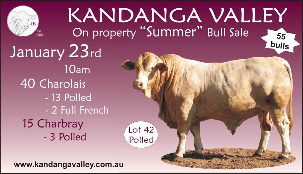 KANDANGA VALLEY STUD | 1226-1229 Kandanga Creek Rd, Upper Kandanga QLD 4570, Australia | Phone: (07) 5484 3359