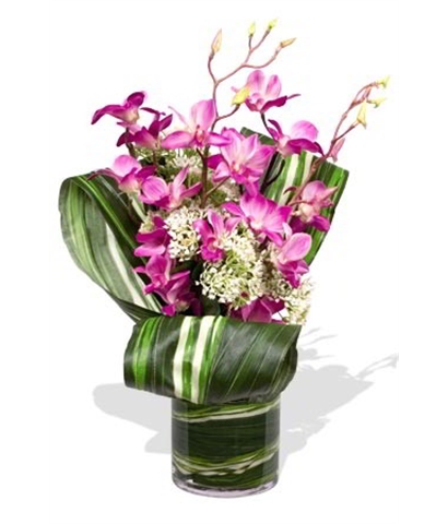 zFlowers | florist | 32C Talbot Ave, Como WA 6152, Australia | 1300297730 OR +61 1300 297 730