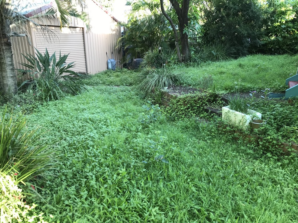 Grasshopper Mowing & Landscaping | 7 Sinclair St, Moorooka QLD 4105, Australia | Phone: 0477 609 267