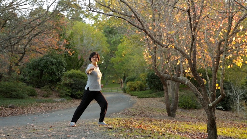 The Tai Chi Club - Qigong, Meditation, Tai Chi Sydney | school | Corner Yarrara Road and Ramsay Road Pennant Hills Community Centre, Pennant Hills NSW 2120, Australia | 0411893262 OR +61 411 893 262