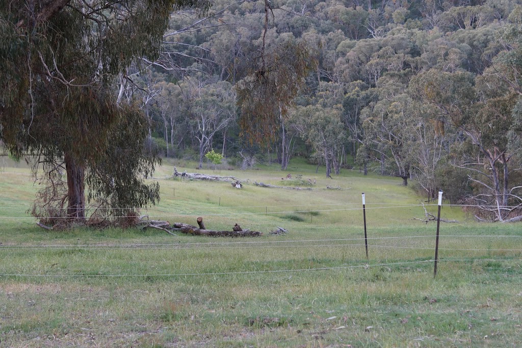 Howqua Valley Views | lodging | Howqua VIC 3723, Australia | 0414291648 OR +61 414 291 648