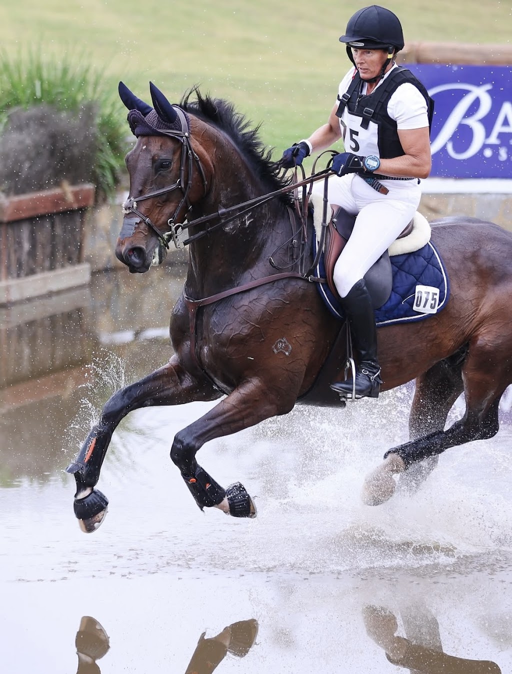 Christine Bates Eventing | 161 Putty Rd, Wilberforce NSW 2756, Australia | Phone: 0413 046 041
