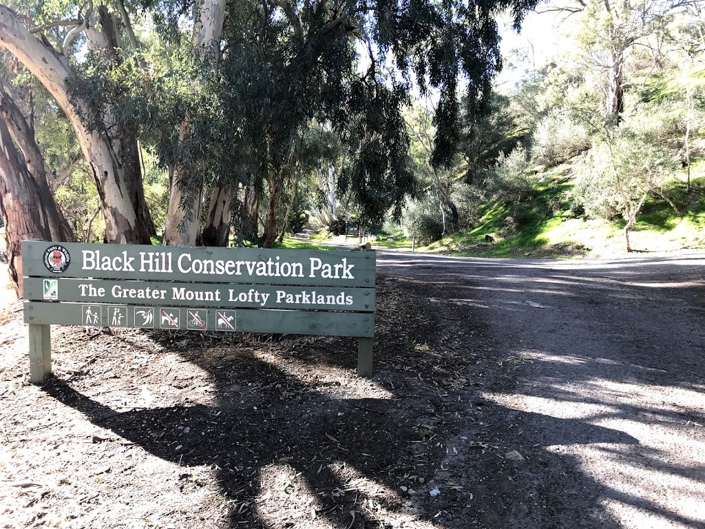 Black Hill Conservation Park | parking | 14 Bermuda Ct, Athelstone SA 5076, Australia