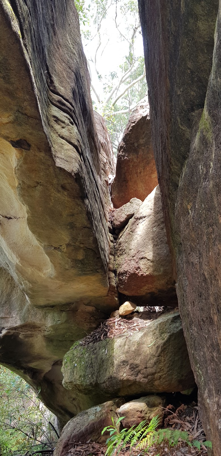 Natural Arch | park | Trevors Ln Trail, Cherrybrook NSW 2126, Australia