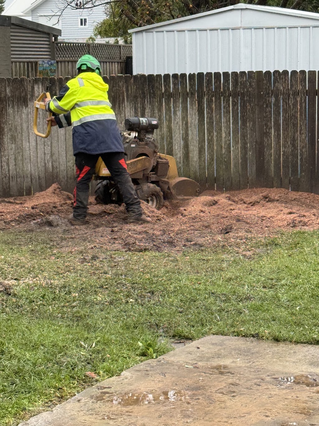 Fine Cut Tree Service | 199 Cawdor Rd, Cawdor NSW 2570, Australia | Phone: 0417 791 567