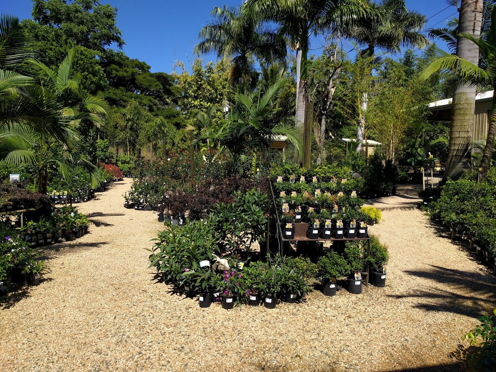 Benaraby Junction Nursery |  | 5 Gladstone Benaraby Rd, Wurdong Heights QLD 4680, Australia | 0749750248 OR +61 7 4975 0248