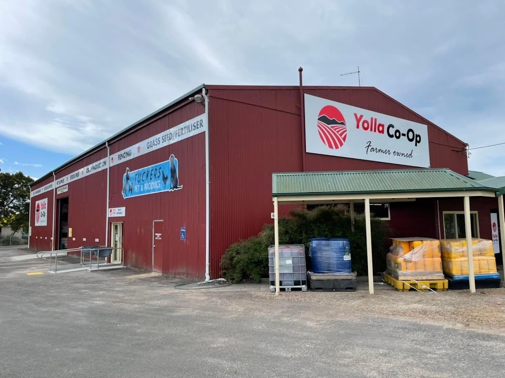 Yolla Co-Op | 243 Gilbert St, Latrobe TAS 7307, Australia | Phone: (03) 6426 1678