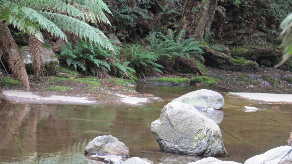 Liffey Forest Reserve | park | Liffey TAS 7301, Australia