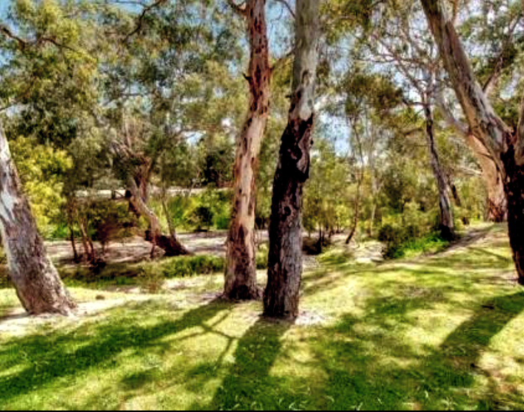 Ashley Reserve | park | Ashley Ave, Ridgehaven SA 5097, Australia