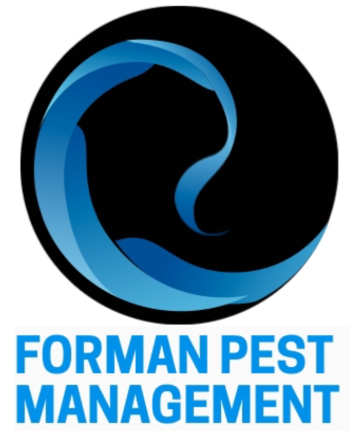 Forman Pest Management | 3 Prunda Parade, Raceview QLD 4305, Australia | Phone: 0488 996 828