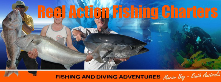 Reelaction Fishing Charters |  | 56 Nelson St, Marion Bay SA 5575, Australia | 0409326698 OR +61 409 326 698