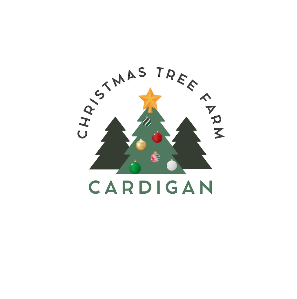 Cardigan Christmas Tree Farm | 10 Powells Rd, Windermere VIC 3352, Australia | Phone: 0491 084 102